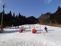 Yang Wajib Dilakukan di Negeri Sakura, Main Ski