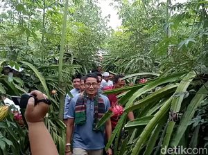 Sandi: Sulit Cari Buah Lokal, Tapi Buah Impor Banyak