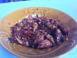 Krenyes Gurih Pedas Belalang Goreng, Mau Cicip?
