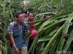 Kata Polisi Soal Laporan 11 Eks Kombatan GAM pada Sandiaga-Dahnil