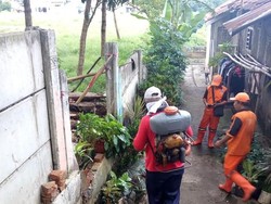 Ulat Gonggok yang Serang Rumah Warga Ragunan Disemprot Insektisida