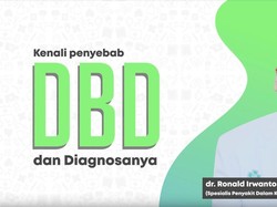 Sering Salah Diagnosis, Apa Bedanya Gejala DBD dan Tifus?