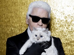 Bantal Kucing Karl Lagerfeld Dilelang dari Harga Rp 1,6 Juta, Berminat?