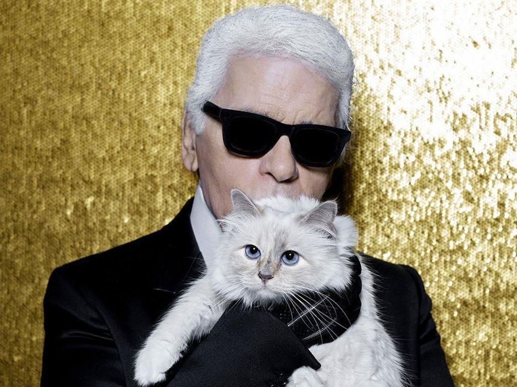 Bantal Kucing Karl Lagerfeld Dilelang dari Harga Rp 1,6 Juta, Berminat? Bantal Kucing Karl Lagerfeld Dilelang dari Harga Rp 1,6 Juta, Berminat?