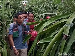 Di Depan Petani, Sandiaga Singgung Kebijakan Buah Impor