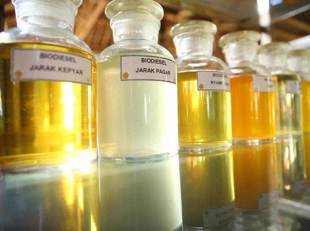 Besok, Biodiesel 30% Diuji Coba Besok, Biodiesel 30% Diuji Coba