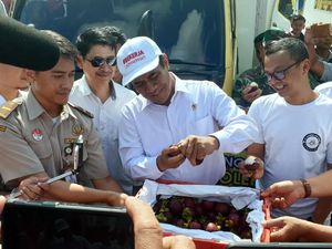 Lagi, Kementan Ekspor Manggis Asal Sumatera ke China Lagi, Kementan Ekspor Manggis Asal Sumatera ke China