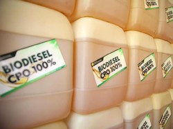 Begini Jurus Pemerintah Tekan Impor Solar