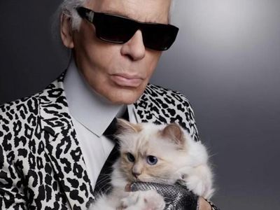 Foto: Liburan Jetset Kucing Mendiang Karl Lagerfeld