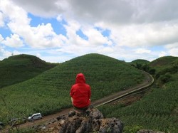 Bukan di Sumba, Ini di Yogyakarta