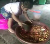 Jangan Mau Kalah, Balita Ini Sudah Jago Ngulek Sambal 