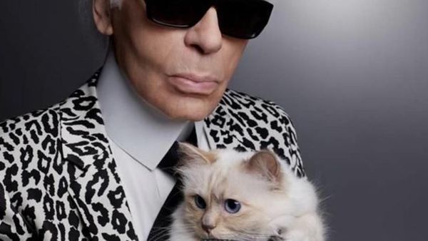Si Lucu Choupette, Kucing yang Akan dapat Warisan Miliaran dari Karl Lagerfeld