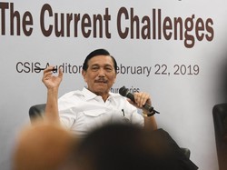 Dikritik Jadi Menteri Semua Urusan, Luhut: Otaknya Keliru