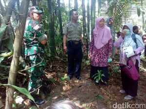 Pemancing Temukan Bayi Laki-laki Mengambang di Sungai