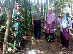 Pemancing Temukan Bayi Laki-laki Mengambang di Sungai
