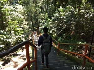 Sepertinya Cuma di Magelang, Bisa Hiking di Tengah Kota