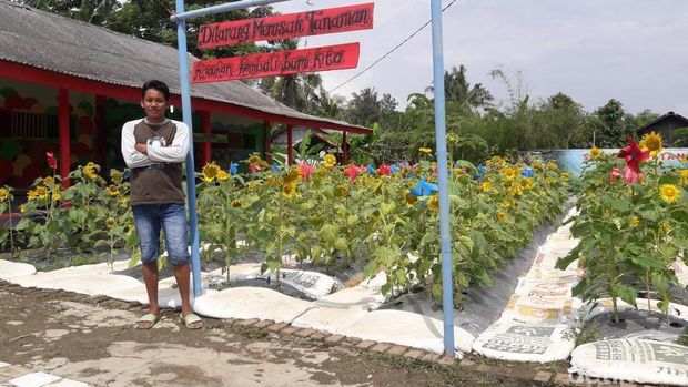  Taman Bunga Matahari di Desa Sukamurni, Bekasi