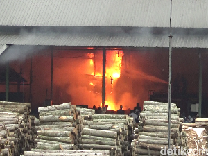 Pabrik Kayu di Lumajang Terbakar, 10 Karyawan Terluka