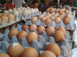 Harga Telur di 7 Pasar Naik, Mentan Lakukan Operasi Pasar