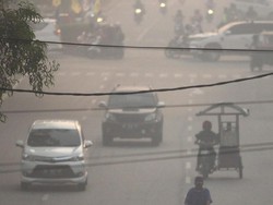 Potret Pekatnya Asap yang Mengepung Dumai dari Lensa Drone