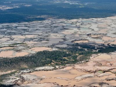 Parah! Hutan Amazon Gundul Akibat Penambangan Ilegal