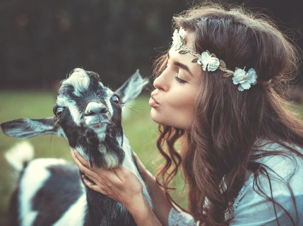 Pelaku Incest di Lampung Juga Setubuhi Kambing, Ini 5 Fakta Zoofilia Pelaku Incest di Lampung Juga Setubuhi Kambing, Ini 5 Fakta Zoofilia
