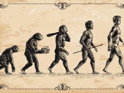 Dari Mana Manusia Berasal? Ini Proses Evolusi yang Ditemukan