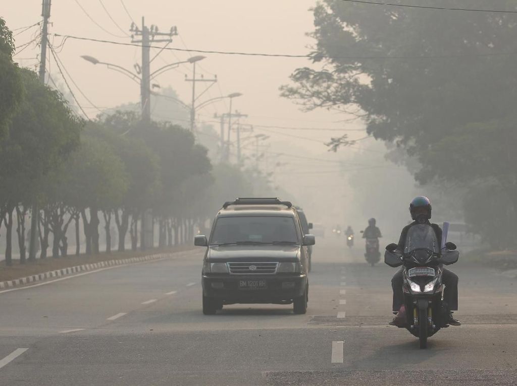 Mempawah Kalbar Diselimuti Kabut Asap Kebakaran Hutan Mempawah Kalbar Diselimuti Kabut Asap Kebakaran Hutan