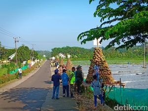 Kenalkan Produk Unggulan Kediri, 2019 Durian Dibagikan Gratis Kenalkan Produk Unggulan Kediri, 2019 Durian Dibagikan Gratis