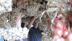 Foto: Belanja Sayur di Kamojang Buat Oleh-oleh Emak di Rumah