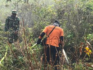 Jokowi Minta Copot Aparat Tak Bisa Tangani Karhutla, TNI Bicara Upaya Maksimal