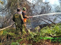 742 Hektare Lahan di Bengkalis Riau Terbakar