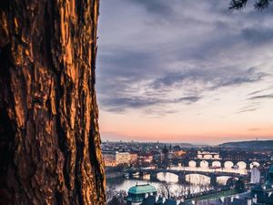 Begini Hasil Jepretan 5 Kamera Nokia 9 PureView Begini Hasil Jepretan 5 Kamera Nokia 9 PureView