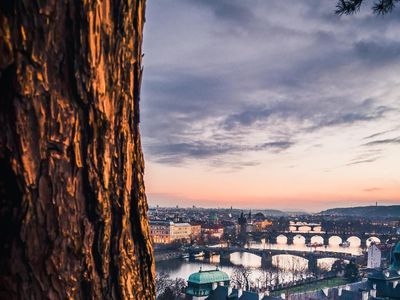 Begini Hasil Jepretan 5 Kamera Nokia 9 PureView