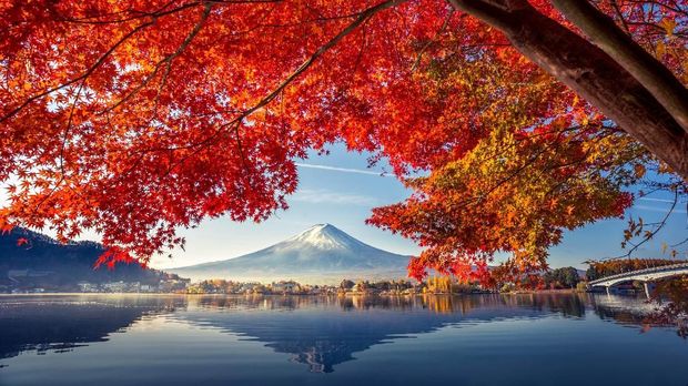 Fujikawaguchiko Colorful Autumn Season and Mountain Fuji with morning fog and red leaves at lake Kawaguchiko is one of the best places in Japan