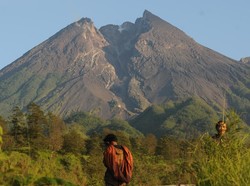 Terjadi 7 Kali Guguran Awan Panas di Gunung Merapi Pagi Ini