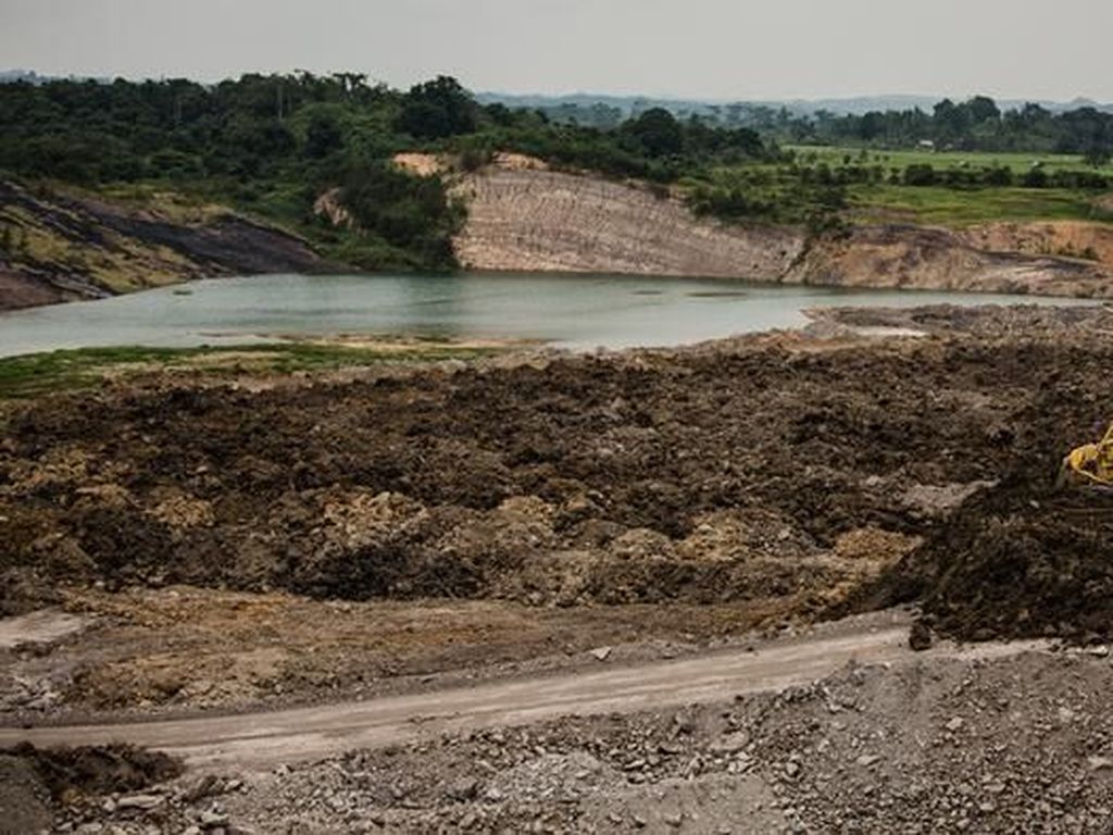 Greenpeace: Penegakan Hukum di Bidang Lingkungan Hidup Sulit Greenpeace: Penegakan Hukum di Bidang Lingkungan Hidup Sulit
