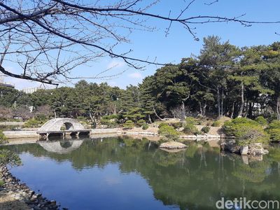 Foto: Taman Romantis di Jepang, Cocok Untuk Syahrini dan Reino