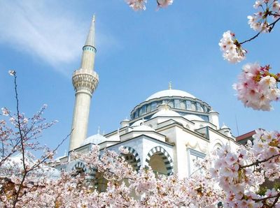 Foto: Masjid Terindah di Jepang Tempat Pernikahan Syahrini