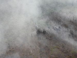 Aktivis Desak Kapolri Copot Kapolres yang Lahan dan Hutannya Terbakar