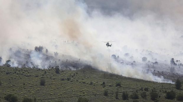 Derita Warga Dumai Dikepung Asap Pekat Karhutla Riau