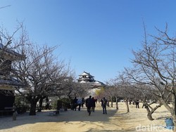 Kastil di Jepang Dibikin Pakai Telur dan Batu, Percaya?