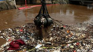Penampakan Sampah di Pintu Air Manggarai Dibersihkan
