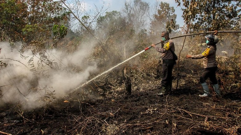 Karhutla di Jambi Meluas, Total 102 Hektare Terbakar