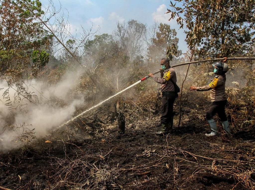 Kebakaran Hutan dan Lahan di Riau Luasnya 1.178 Hektare Kebakaran Hutan dan Lahan di Riau Luasnya 1.178 Hektare