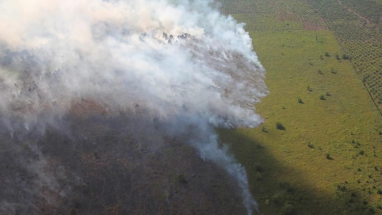 Diduga Terkait Kebakaran Hutan, 7 Perusahaan di Kalbar Disegel Diduga Terkait Kebakaran Hutan, 7 Perusahaan di Kalbar Disegel