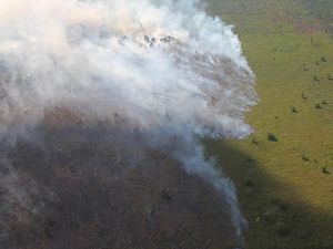 Diduga Terkait Kebakaran Hutan, 7 Perusahaan di Kalbar Disegel