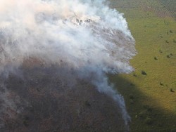 Sudah 6 Hari Kepulauan Meranti Riau Dilanda Kebakaran Hutan