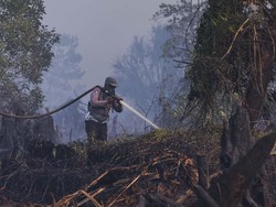 Atasi Karhutla Riau, KLHK Manfaatkan Teknologi Modifikasi Cuaca