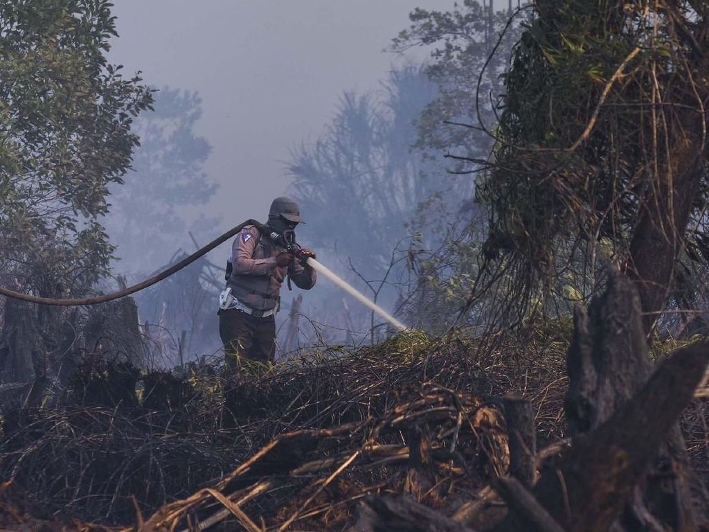 Atasi Karhutla Riau, KLHK Manfaatkan Teknologi Modifikasi Cuaca Atasi Karhutla Riau, KLHK Manfaatkan Teknologi Modifikasi Cuaca